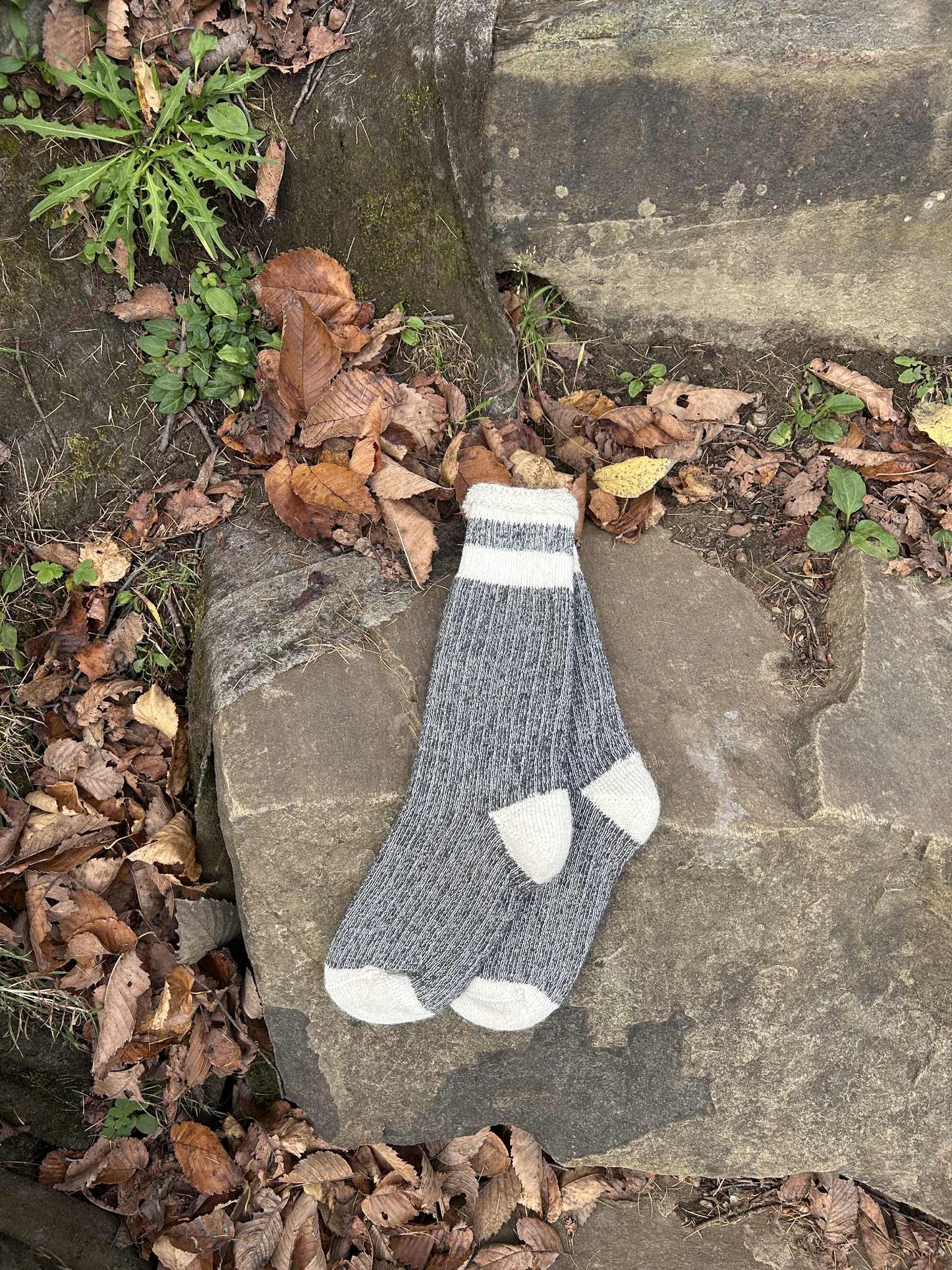 Alpaca Socks - Long