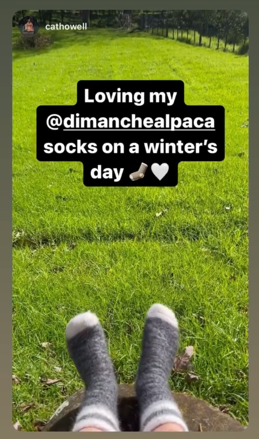 Alpaca Socks - Long