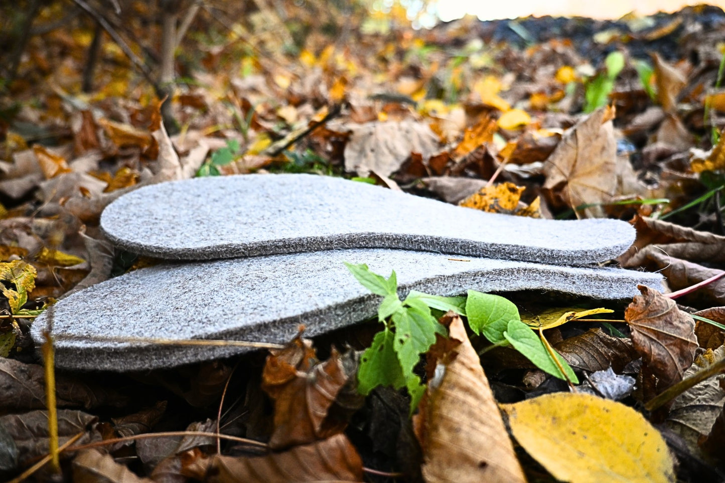 Alpaca Soles